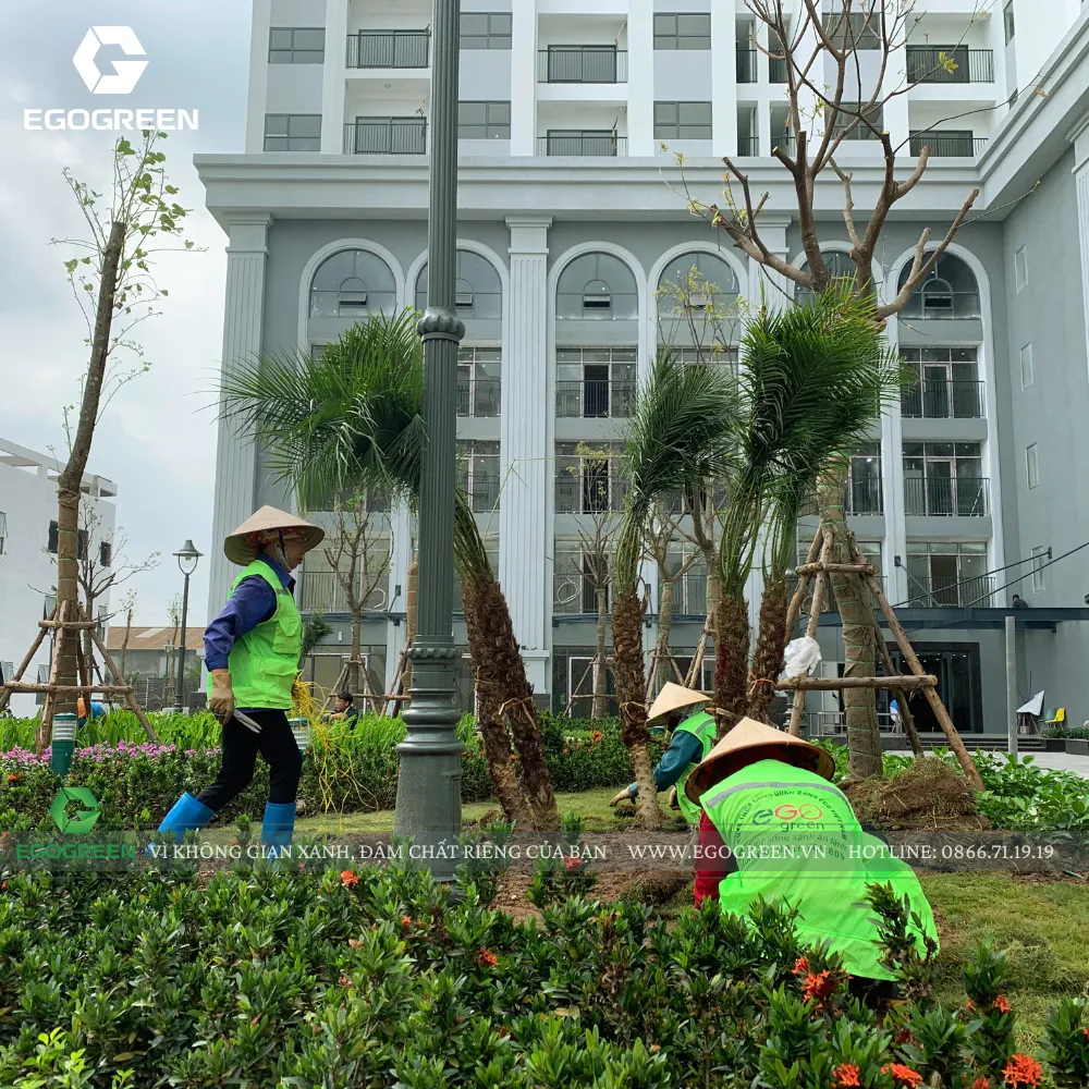 Chi phí cải tạo sân vườn phụ thuộc vào từng khu vườn của gia chủ.